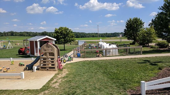 A picture of Mooville's petting farm and playground area. 